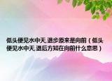 低头便见水中天,退步原来是向前（低头便见水中天,退后方知在向前什么意思）