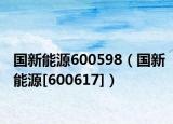 国新能源600598（国新能源[600617]）