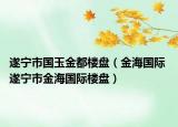 遂宁市国玉金都楼盘（金海国际 遂宁市金海国际楼盘）