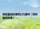 轻伤鉴定标准伤口几厘米（轻伤鉴定标准）