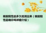 核酸阳性是多久检测出来（核酸阳性是确诊吗详细介绍）