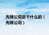 先锋公司是干什么的（先锋公司）