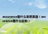 assurance是什么意思英语（assurance是什么轮胎）