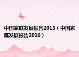 中国家庭发展报告2015（中国家庭发展报告2016）