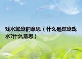戏水鸳鸯的意思（什么是鸳鸯戏水?什么意思）