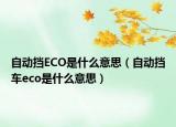 自动挡ECO是什么意思（自动挡车eco是什么意思）