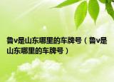 鲁v是山东哪里的车牌号（鲁v是山东哪里的车牌号）