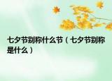七夕节别称什么节（七夕节别称是什么）