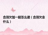 合羽欠加一起怎么读（合羽欠念什么）