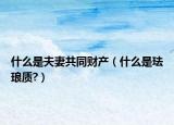 什么是夫妻共同财产（什么是珐琅质?）