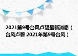2021第9号台风卢碧最新消息（台风卢碧 2021年第9号台风）