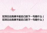 见到日出我便不能自己的下一句是什么（见到日出我便不能自己的下一句是什么）