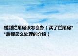 碰到烂尾房该怎么办（买了烂尾房**后都怎么处理的介绍）