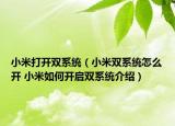 小米打开双系统（小米双系统怎么开 小米如何开启双系统介绍）