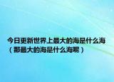 今日更新世界上最大的海是什么海（那最大的海是什么海呢）