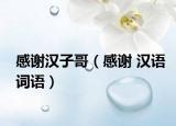 感谢汉子哥（感谢 汉语词语）