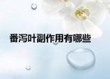 番泻叶副作用有哪些