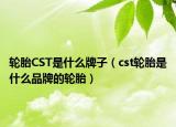 轮胎CST是什么牌子（cst轮胎是什么品牌的轮胎）