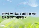 野外生存小常识（野外生存技巧 野外生存技巧有哪些）
