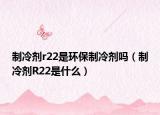 制冷剂r22是环保制冷剂吗（制冷剂R22是什么）