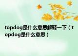 topdog是什么意思解释一下（topdog是什么意思）