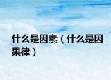 什么是因素（什么是因果律）