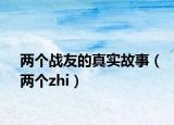 两个战友的真实故事（两个zhi）