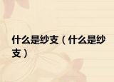 什么是纱支（什么是纱支）