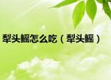 犁头鳐怎么吃（犁头鳐）