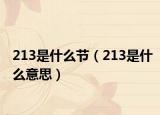 213是什么节（213是什么意思）