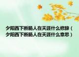 夕阳西下断肠人在天涯什么修辞（夕阳西下断肠人在天涯什么意思）