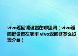 vivo返回键设置在哪里调（vivo返回键设置在哪里 vivo返回键怎么设置介绍）