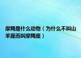 摩羯是什么动物（为什么不叫山羊座而叫摩羯座）