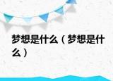 梦想是什么（梦想是什么）