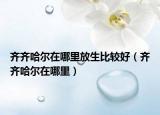 齐齐哈尔在哪里放生比较好（齐齐哈尔在哪里）