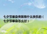 七夕节单身贵族有什么快乐的（七夕节单身怎么过）