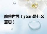 魔兽世界（stsm是什么意思）