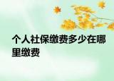 个人社保缴费多少在哪里缴费