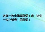送你一枚小弹壳歌词（求‘送你一枚小弹壳’的歌词）