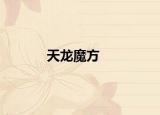 天龙魔方
