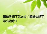 眼睛失明了怎么过（眼睛失明了怎么治疗）