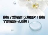 像极了爱情是什么梗图片（像极了爱情是什么意思）