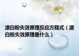 漂白粉失效原理反应方程式（漂白粉失效原理是什么）