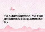 小米可以升级鸿蒙系统吗?（小米手机能升级鸿蒙系统吗 可以使用鸿蒙系统吗介绍）