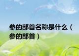参的部首名称是什么（参的部首）