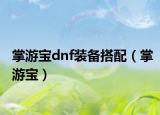 掌游宝dnf装备搭配（掌游宝）