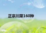 正宗川菜160种