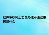 社保审核网上怎么办理不通过原因是什么