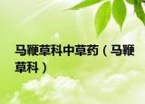 马鞭草科中草药（马鞭草科）