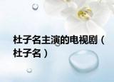 杜子名主演的电视剧（杜子名）